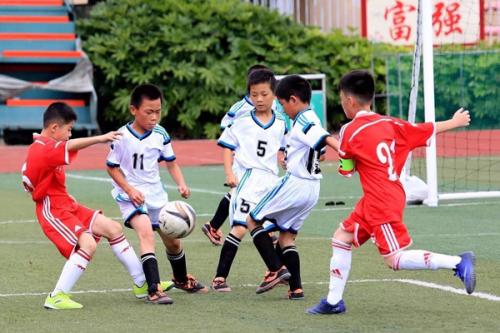 青少年可以吃石斛吗？根据体质情况而定