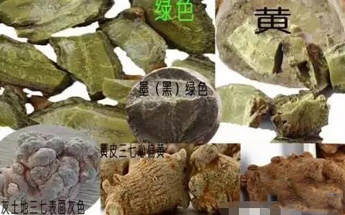 三七里面/截面是什么颜色？