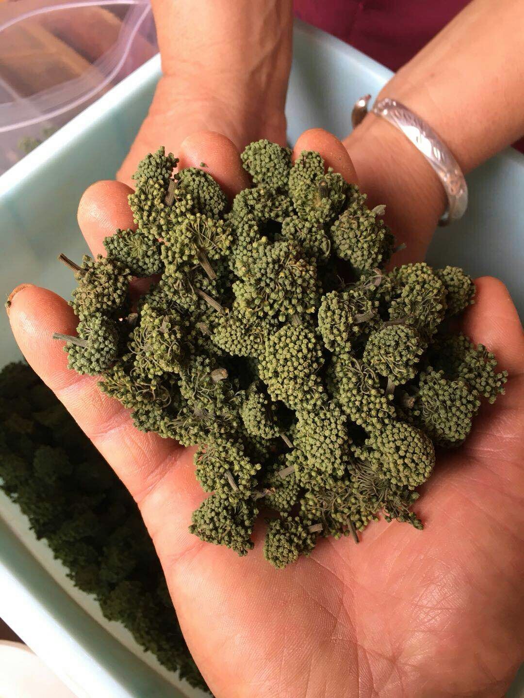 三七花新花好还是旧花好