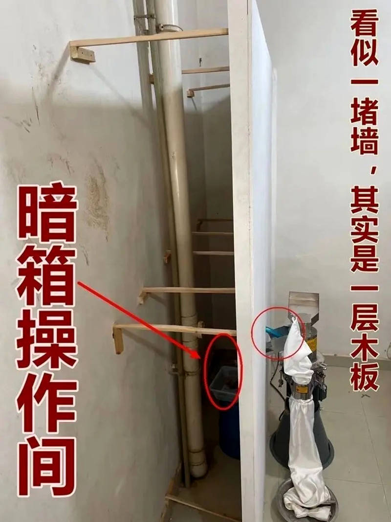 抖音淘宝拼多多等三七视频直播打粉是真的吗？揭秘作假手法！
