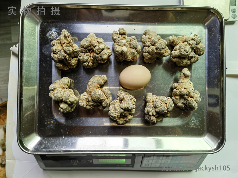 三七头多好还是头少好