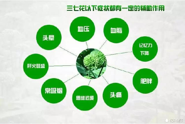 三七花的优点