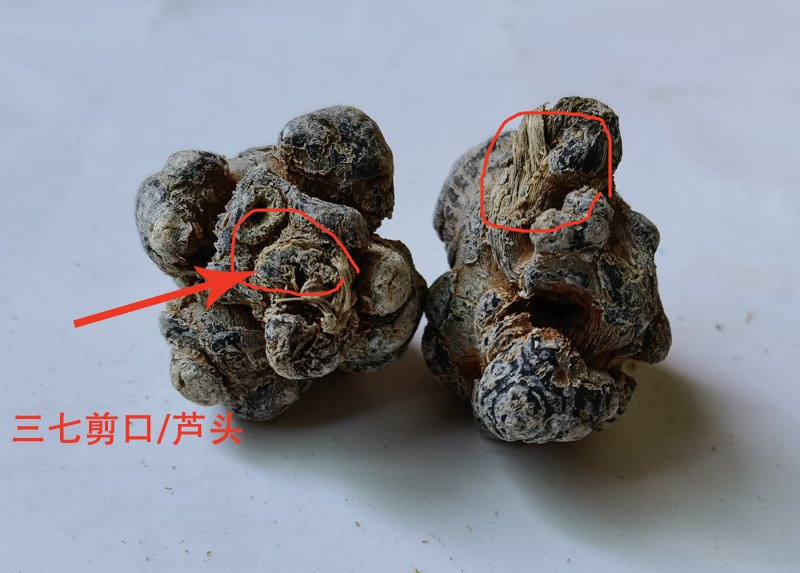 带帽三七是什么意思【图解】