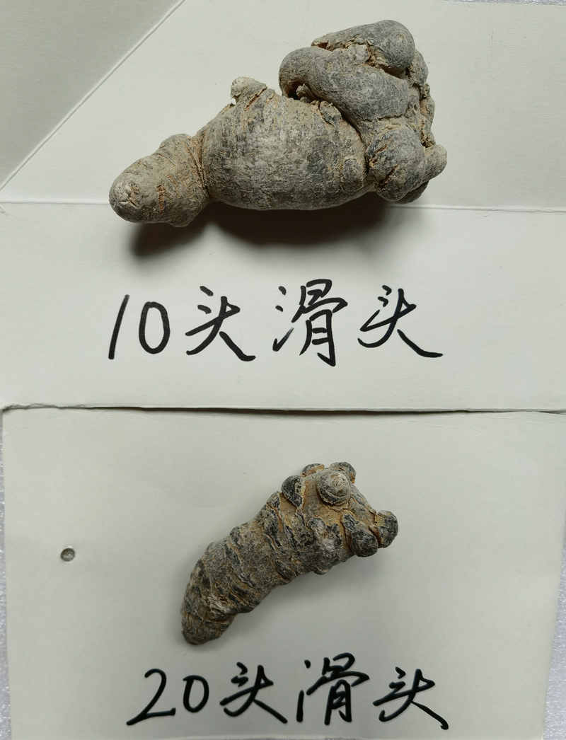 文山三七头数多好还是少好？