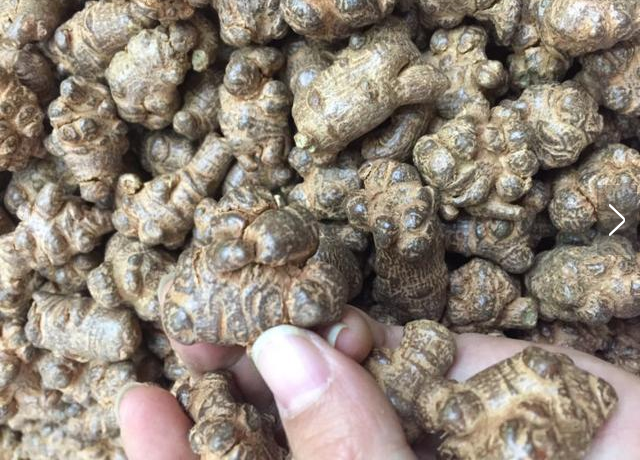 打蜡三七的处理方法