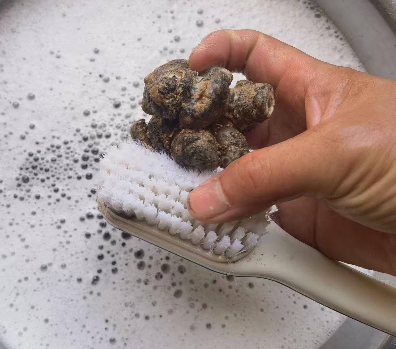 打蜡三七的处理方法