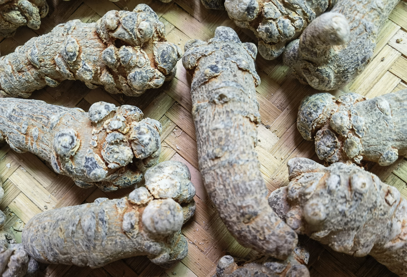 打蜡三七的处理方法