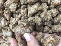 打蜡三七的处理方法