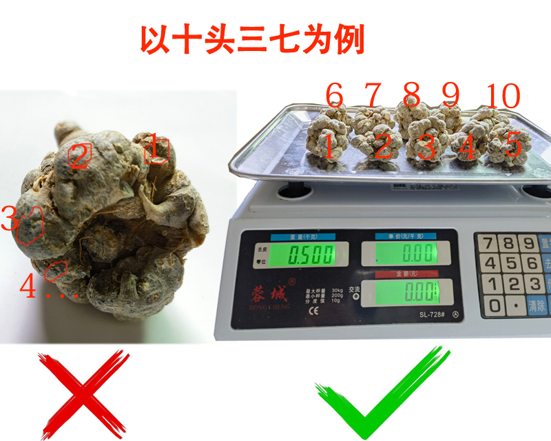 三七头是什么意思?三张图看懂文山三七头