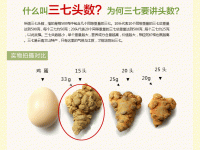 三七头是什么意思？三张图看懂文山三七头