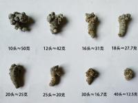 三七头数大小药效区别大吗？
