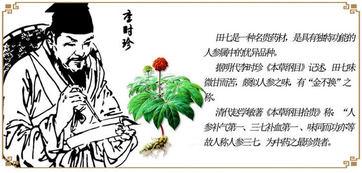 金不换神草：文山三七