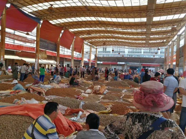 云南文山是如何成为三七的主要产区