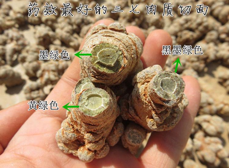 三七种植地区是在哪些地方
