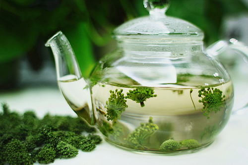 三七花的作用有哪些：与三七粉相似