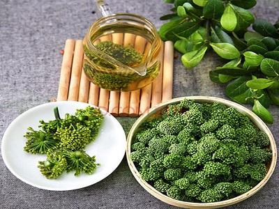 三七花的作用有哪些：与三七粉相似