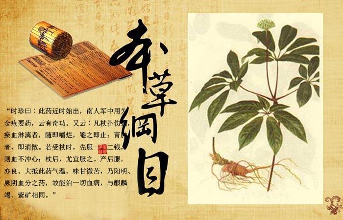 三七粉有止血的作用吗