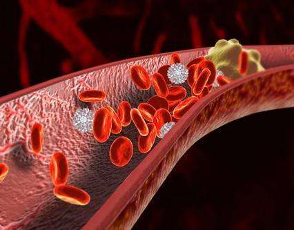 三七粉对血液和造血系统的双向作用
