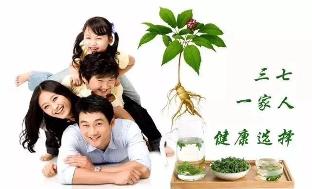 三七花对血脂稠的作用
